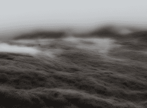 Загадкові зникнення овець у Норвегії