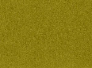 Рекордні лікарняні через сінну лихоманку: винен клімат