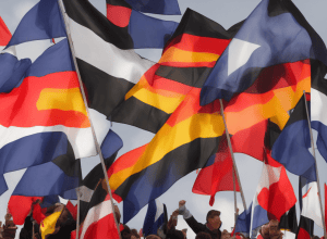 Зміна позиції щодо AfD: Федеральні землі блокують рішення?