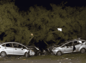 Смертельна ДТП в Німеччині: п'яний водій врізався в дерево, двоє загиблих