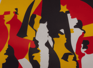 Критика AfD: Звинувачення у правому екстремізмі