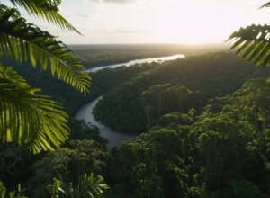 Канцлер Мерц на COP30: Німеччина обіцяє підтримку кліматичних ініціатив без конкретних сум