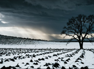 Початок п'ятої воєнної зими: чи вистоїть Україна?
