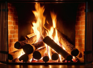 Ефективне опалення дровами: чого категорично не можна спалювати в каміні