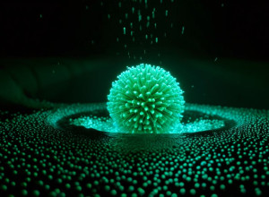 У стоках Гамбурга виявлено дикий поліовірус: влада закликає до обережності