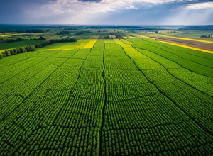 Зміна клімату: глобальні наслідки та шляхи вирішення