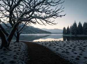 Тотензоннтаг та різдвяний декор: Коли доречно починати прикрашати дім?