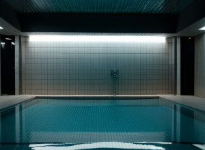 У Німеччині затримали підозрюваного у сексуальному насильстві над 7-річним хлопчиком у басейні