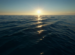 Трагедія в Австралії: Швейцарську синхроністку вбив хижий акула під час плавання з дельфінами