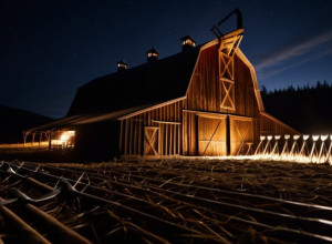 Хто покинув "Ферму зірок" (Der Promihof)? Всі деталі та драматичні повороти реаліті-шоу