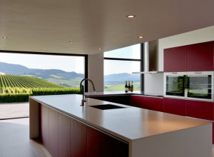 Особеності громадян Австрії: історія про непереважливий випадок