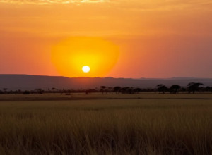 Африканський Кубок: скандали та перестройки