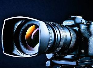 Новинки дня