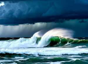 Жахлива гиність прийнята: Чолку дали завершену наказання за знищення свого куз'яка