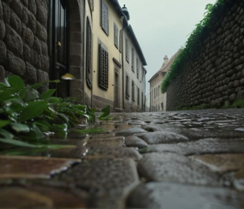 Агресивний дикий кабан спричинив переполох у німецькому містечку Ункель