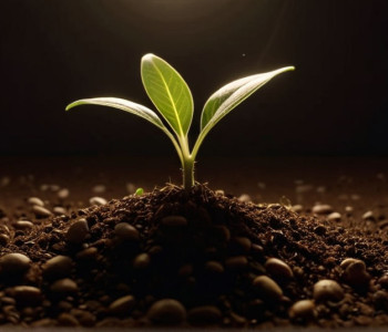 Міністр-президент Північного Рейну-Вестфалії Гендрік Вюст та його дружина очікують поповнення