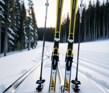 Біатлон: фінальні гонки першого етапу Кубка світу в Естерсунді та де дивитися пряму трансляцію