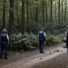 Жахлива знахідка у лісі Гамбурга: поліція шукає людські останки