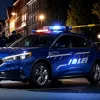 У Німеччині ексгібіціоніст напав на поліцію: четверо офіцерів поранені біля Ростока