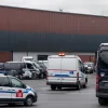 У Гамбурзі затримали групу румунів, які викрали 15 тонн волоських горіхів: спробували продати їх власнику