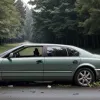 Під Ростоком літня жінка потрапила у важку ДТП: авто врізалося в дерево