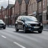Вівці спричинили затор у Німеччині: Поліція та мешканці ловили втікачів в Айнбеку