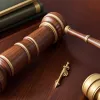 Служба захисту конституції Бранденбурга тимчасово призупинила класифікацію АдН як "підтверджено правоекстремістської"