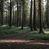 Вбита після техно-вечірки: Батьки 21-річної дівчини шукають свідків через зворушливе відеозвернення в Німеччині