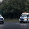У Німеччині спіймали п'яного 73-річного водія та чоловіка під наркотиками: подробиці інцидентів у Зольтау та Бухгольці