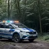 У Німеччині поблизу Зіндельфінгена в лісі знайшли тіло жінки: поліція закликає допомогти зі свідченнями