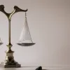 Франція наблизилася до легалізації евтаназії: Національна асамблея підтримала законопроєкт