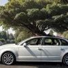 У Дюссельдорфі дерево впало на Audi: 22-річний водій отримав тяжкі травми, дивом вижив