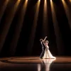 Let's Dance 2025: Профі-челендж – Правила, учасники та коли дивитись