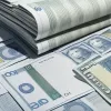 У Фрайбурзі чоловік отримав умовний термін за шахрайство із соцвиплатами та приховані доходи