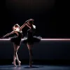 Катерина Леонова та Валентин Лузін здобули перемогу у «Profi Challenge» шоу Let's Dance
