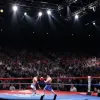 Бокс: Непереможний Віктор Цакічі боротиметься за титул чемпіона Німеччини у Потсдамі