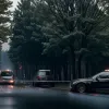 У Німеччині водій BMW заснув за кермом і перекинувся