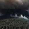 Лісова пожежа поблизу Квіттельсдорфа: перекрито федеральну трасу в Німеччині