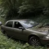 У Німеччині п'яний водій спричинив ДТП: авто злетіло з 10-метрового схилу і впало на будиночок, двоє тяжко поранені