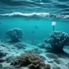 Глава МЗС Німеччини: Ситуація в Балтійському морі загрозлива, посилимо безпеку через дії РФ