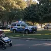 Напад у парку Берліна: жінку побили камінням та пограбували