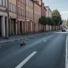У Німеччині водій скутера, тікаючи від поліції, збив дворічну дитину