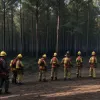 Німецькі пожежники вдосконалюють тактику гасіння лісових пожеж: досвід Мьонезее