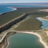 Амбітний проєкт: Частину Сахари хочуть перетворити на ліс, використовуючи воду з Атлантики
