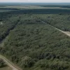 Німеччина розміщує бригаду в Литві: посилення східного флангу НАТО як чіткий сигнал Москві