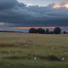 У Кельні підлітки спричинили низку пожеж, підпалюючи піротехніку