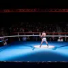 Бокс у Потсдамі: Два титульні бої за чемпіонство Німеччини