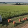ЄС запроваджує мита на добрива з Росії та Білорусі: Кінець «санкційної лазівки»