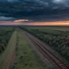Небезпечні "мандрівники" з Берліна: залізли на потяг біля кордону з Чехією і паралізували рух