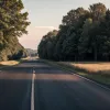 ДТП у Німеччині: Корова вибігла на трасу та загинула під колесами авто